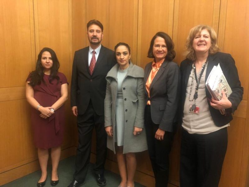 This week, I chaired a roundtable meeting of the All-Party Parliamentary Human Rights Group and Amnesty International to mark the 20th Anniversary of the UN Declaration on Human Rights. We heard from women human rights defenders from Colombia, Egypt and Iran.