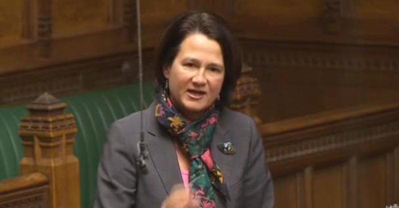 Catherine West MP speaking in the Brexit debate