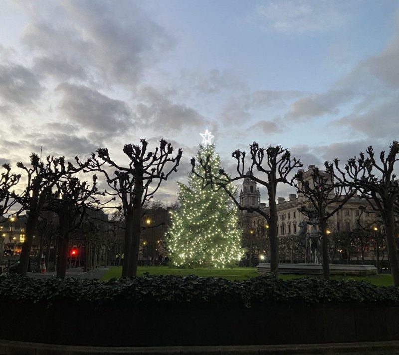 Christmas Tree at Parliament 2020