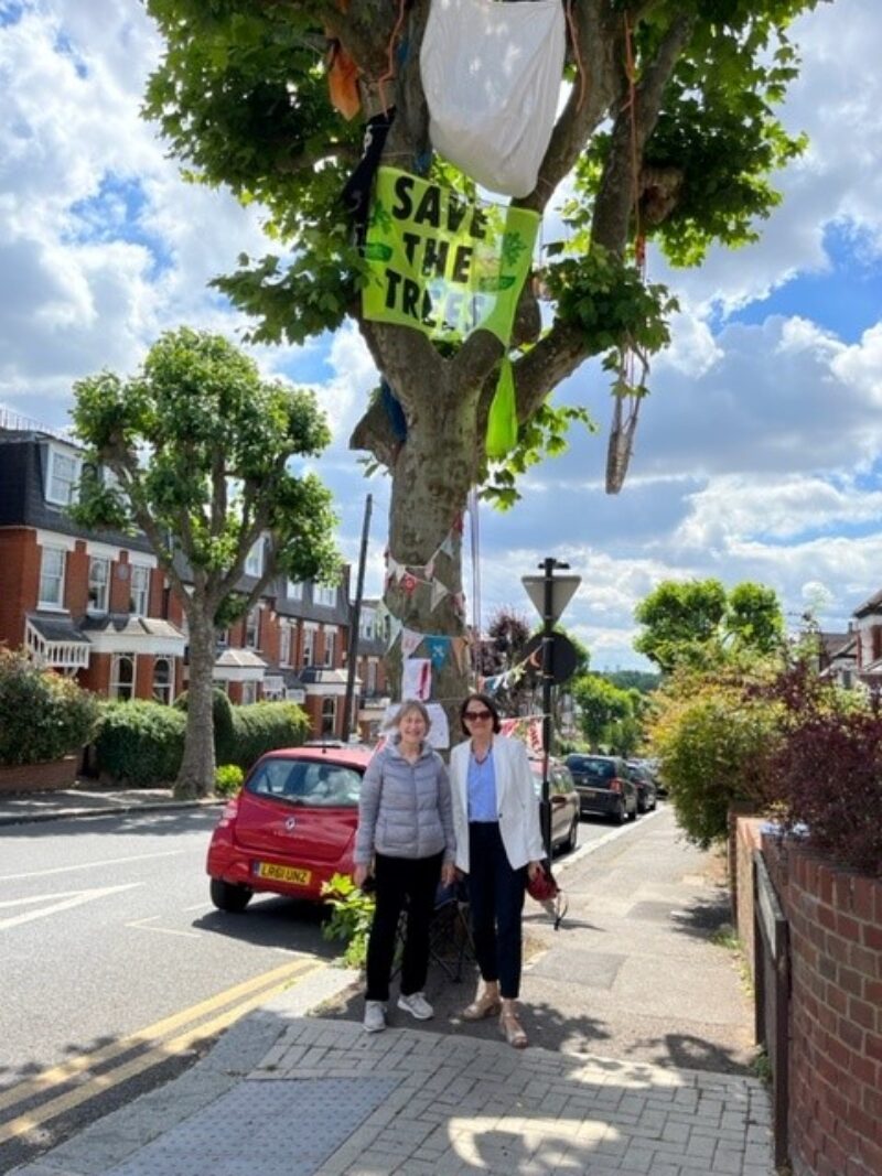 Catherine West MP meets campaigners at the Oakfield Road tree