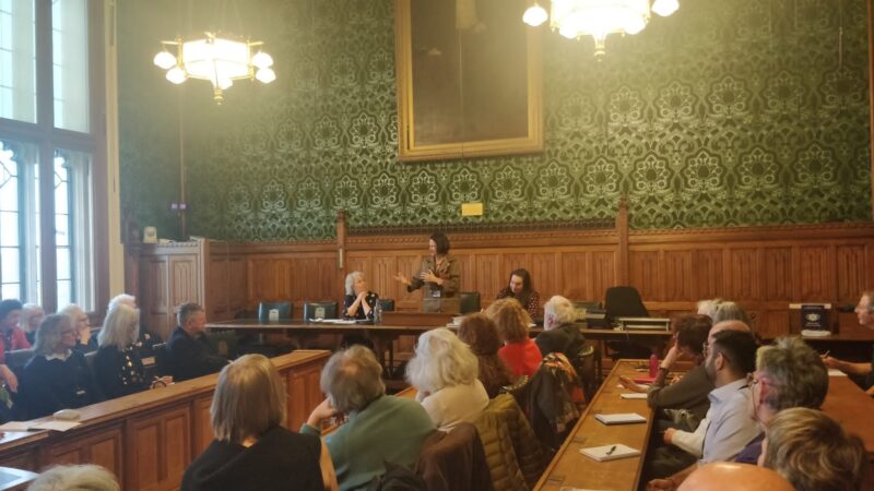 Karin Smyth MP, Catherine West MP and Cllr Lucia Das Neves speaking at the future of health and care
